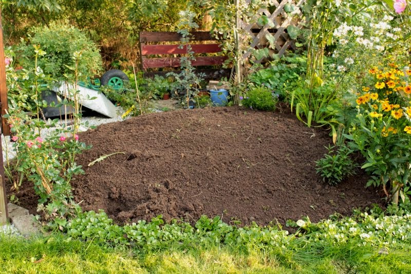 Wildes Gartenglück Wurzelaktion