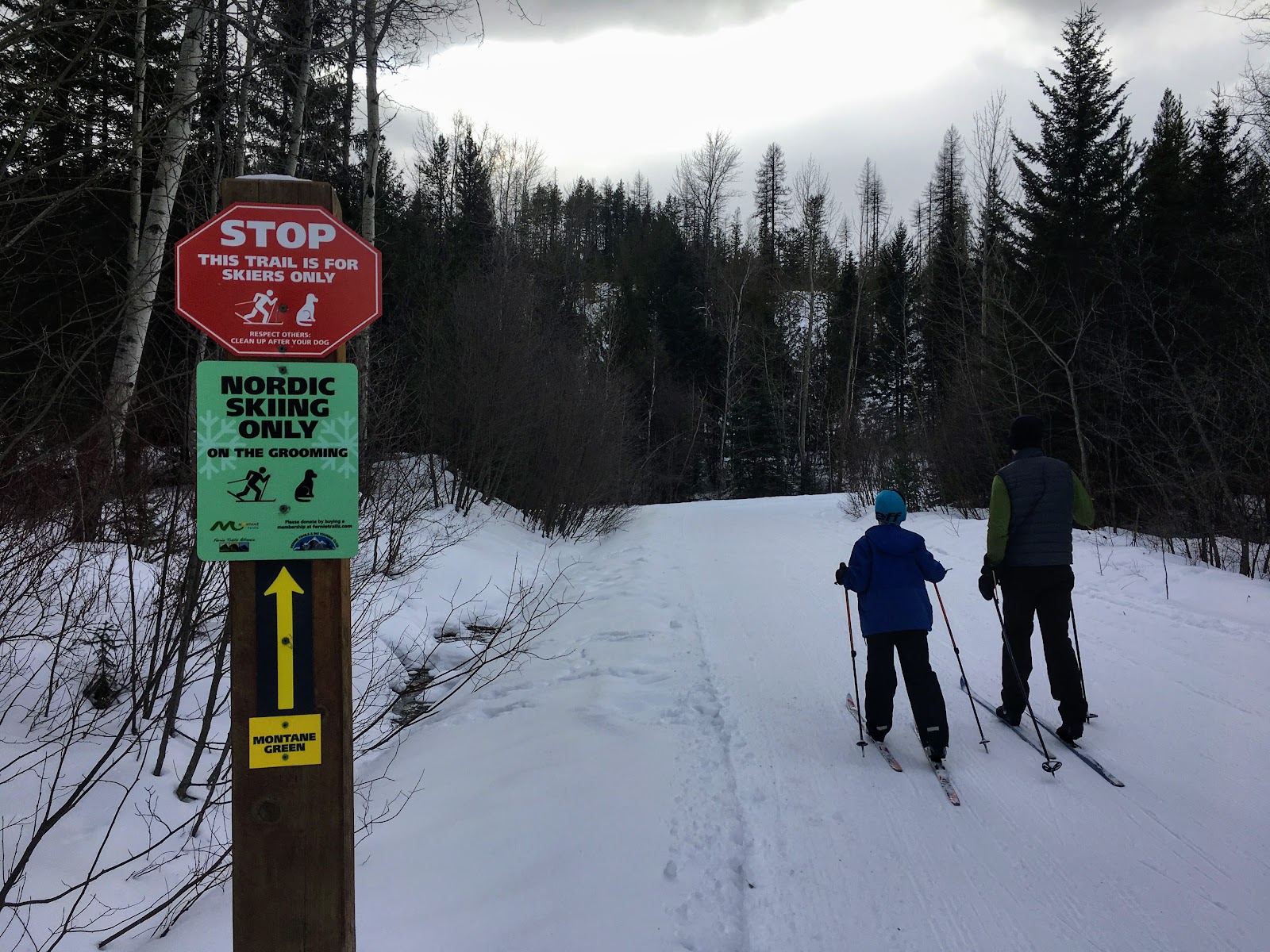 Family Adventures in the Canadian Rockies Top 5 Things to do in Fernie