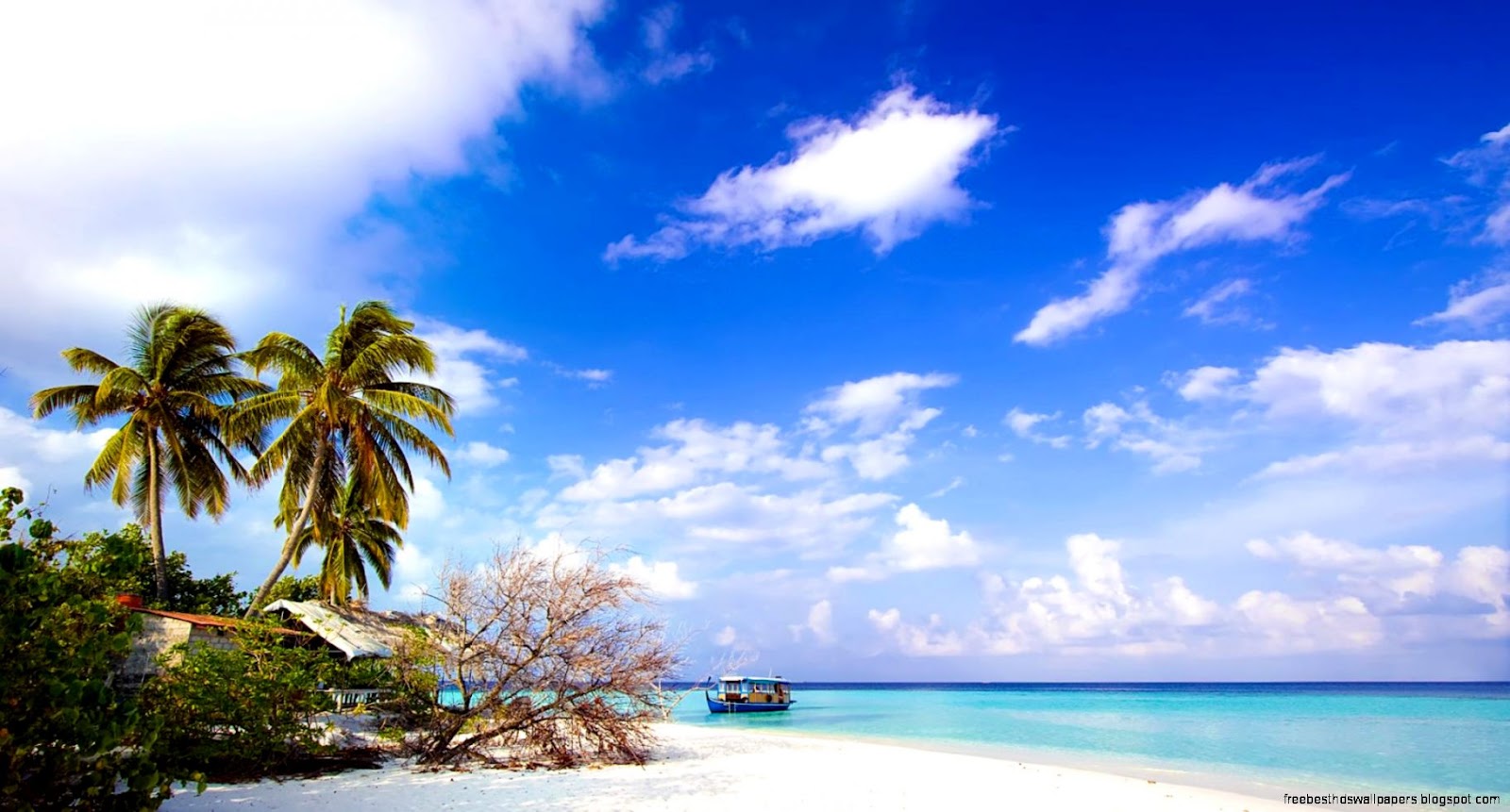 Beach Desktop Downloads