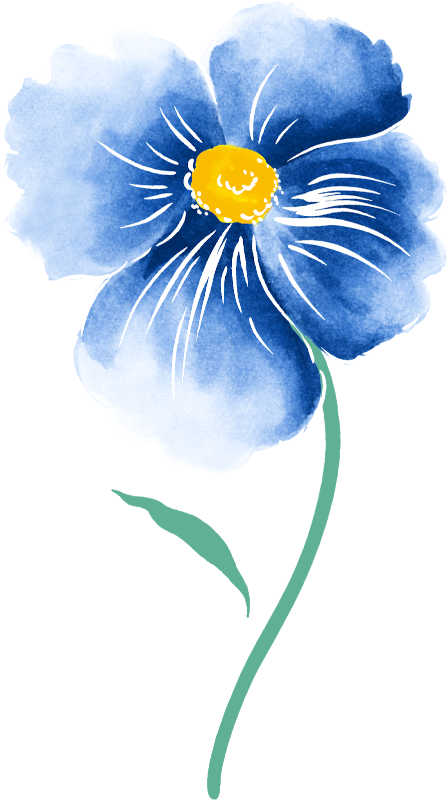 голубые цветочки вектор. голубые рисунки. синие акварельные цветы. цветы рисованные голубые. голубойцветок нра белом фоне.