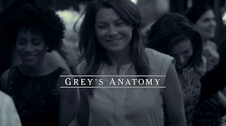 Grey's Anatomy 11x24