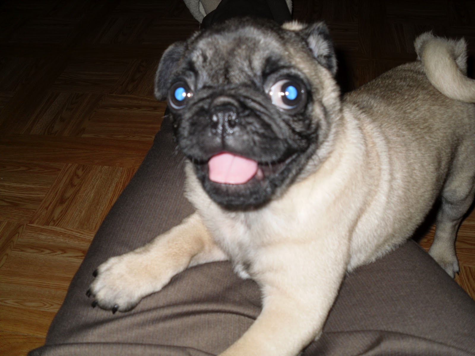 The Wee-Small Adventures of Mini Clenney: Story Time for Baby-Mine: I