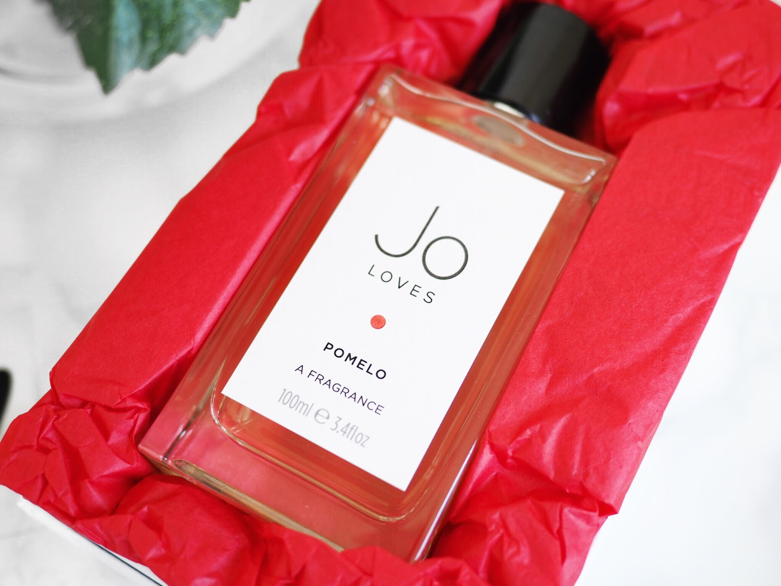 Jo Loves Pomelo Sample 2025