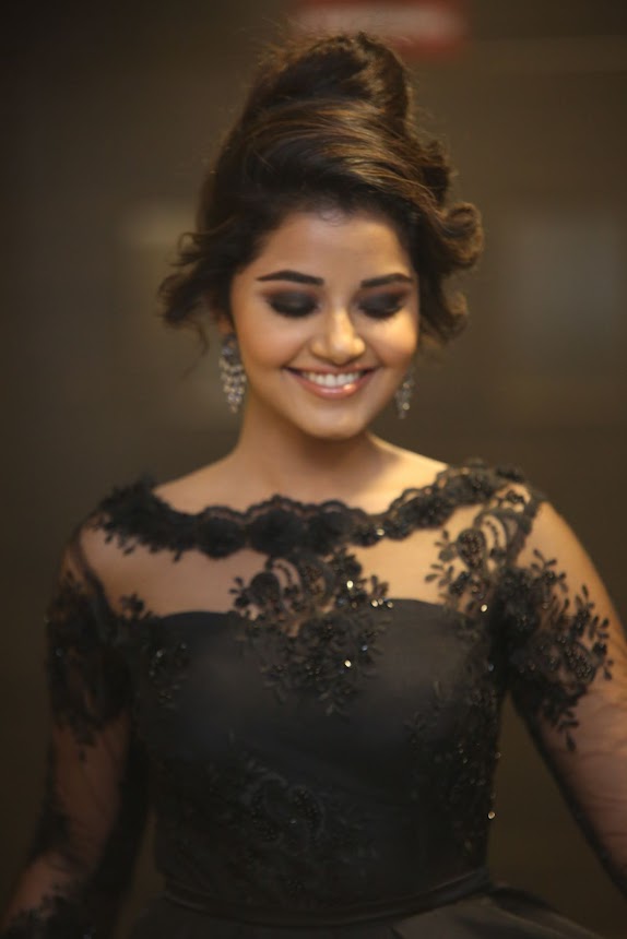 Anupama Parameswaran at Hello Guru Prema Kosame Pre release