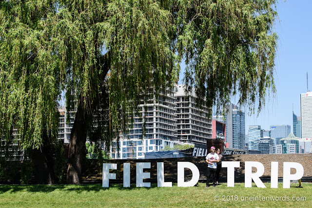 Field Trip 2018 on June 2-3, 2018 Photo by John Ordean at One In Ten Words oneintenwords.com toronto indie alternative live music blog concert photography pictures photos