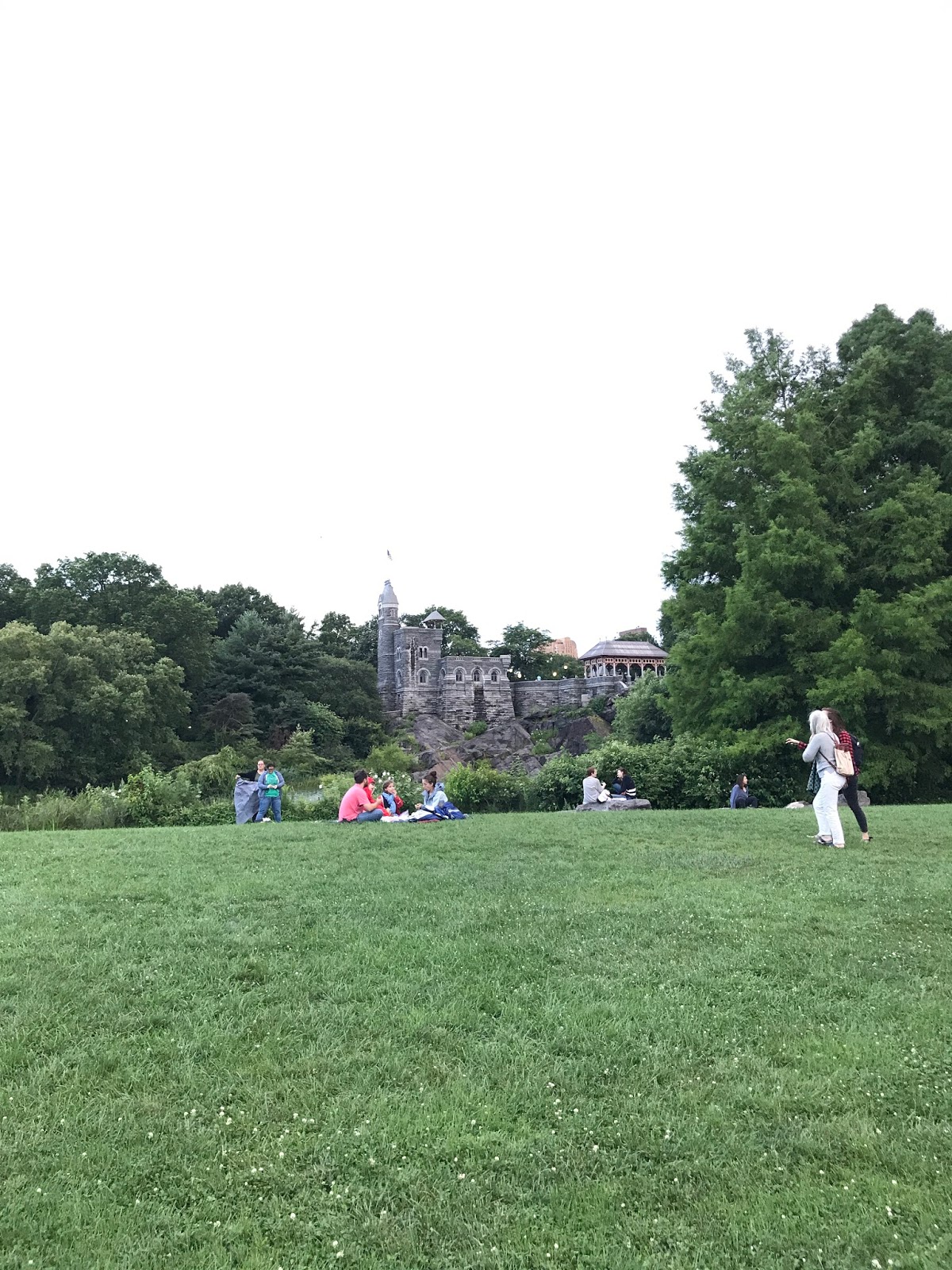 york teacher