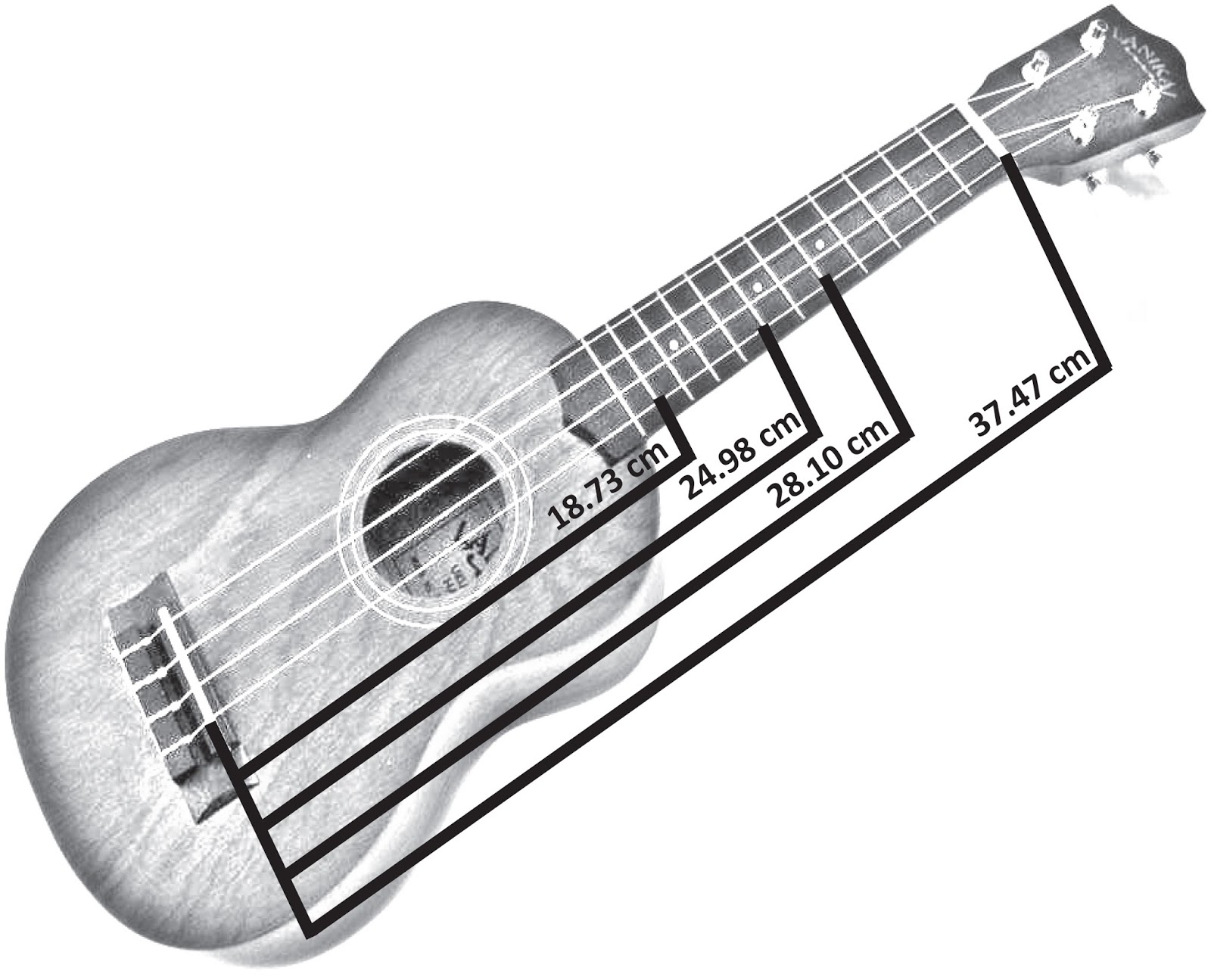 Cognition and Reality Rameau’s Ukulele