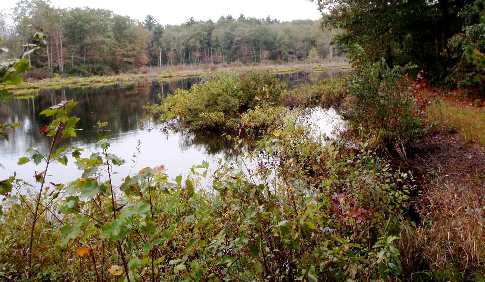 One Day in America 24 hours at Grace Note Farm in Pascoag, Rhode Island