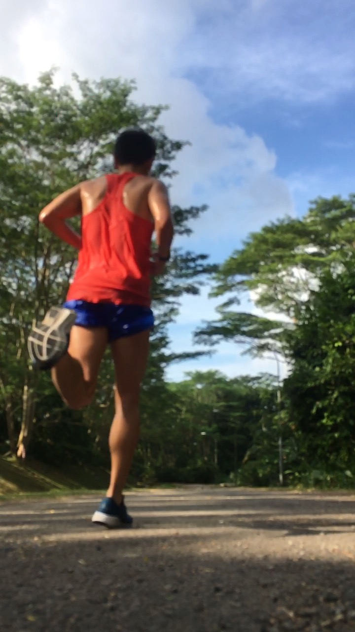 roadhawk ff 2 review