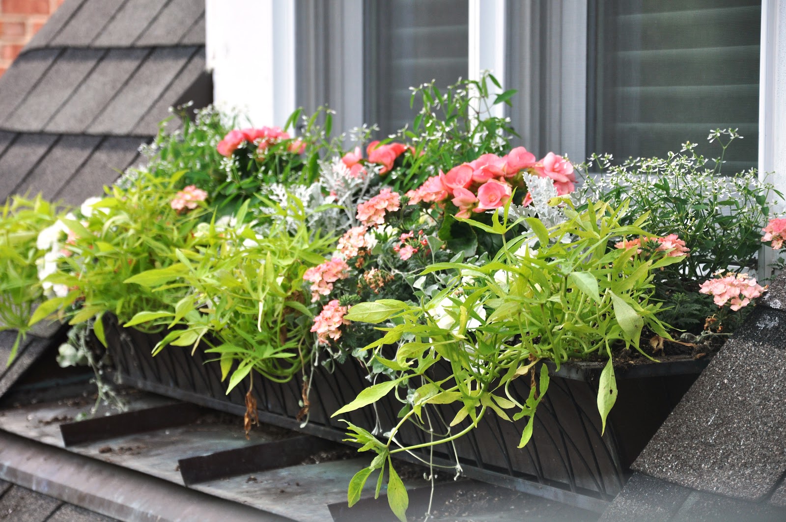 Serendipity Refined Blog Boxes and Baskets and Pots of Flowers!