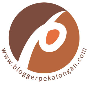 Footer Logo