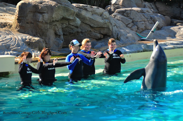 Women standing in hip deep water and a dolphin splashing them with its tail.