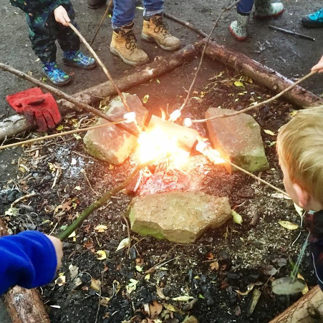 Getting Outdoors in Northumberland with Footprints on the Moon at Plessey Woods