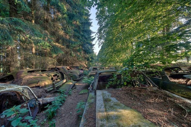 cementerio autos bosque Chatillon Bélgica