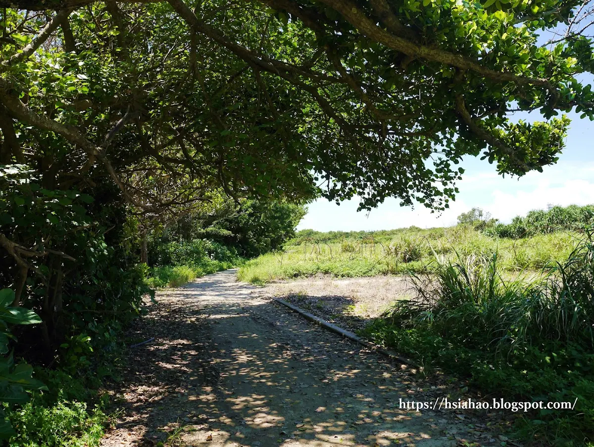 沖繩-景點-離島-外島-久高島-腳踏車道-自由行-旅遊-Okinawa-kudaka-island-bicycle-road
