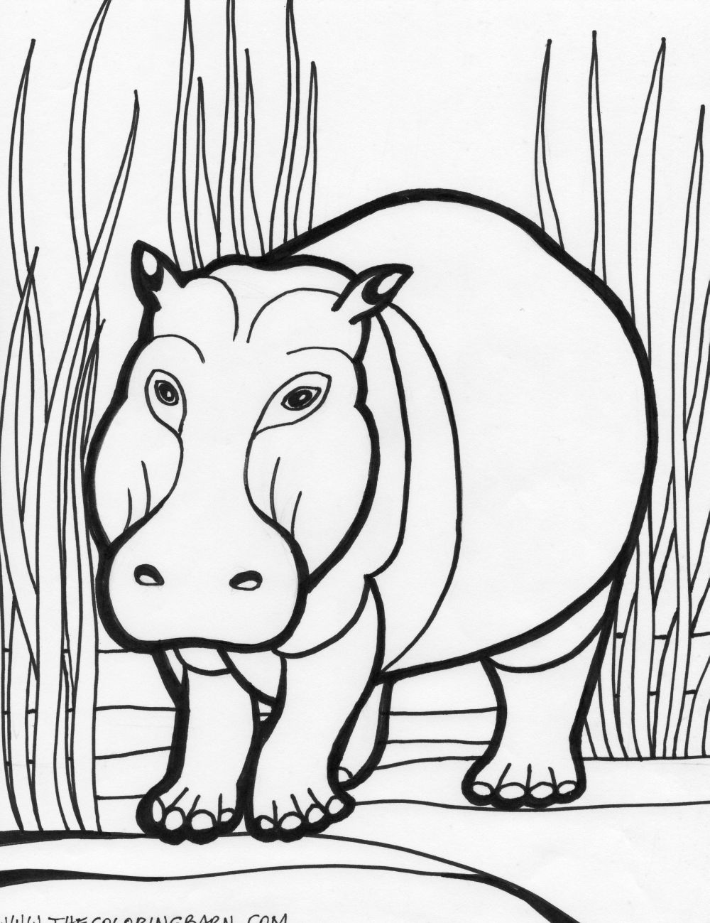 cartoon hippo coloring pages - photo #19