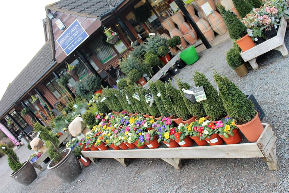 Martin Brookes Oakham Rutland Garden Centre and Rutland Village