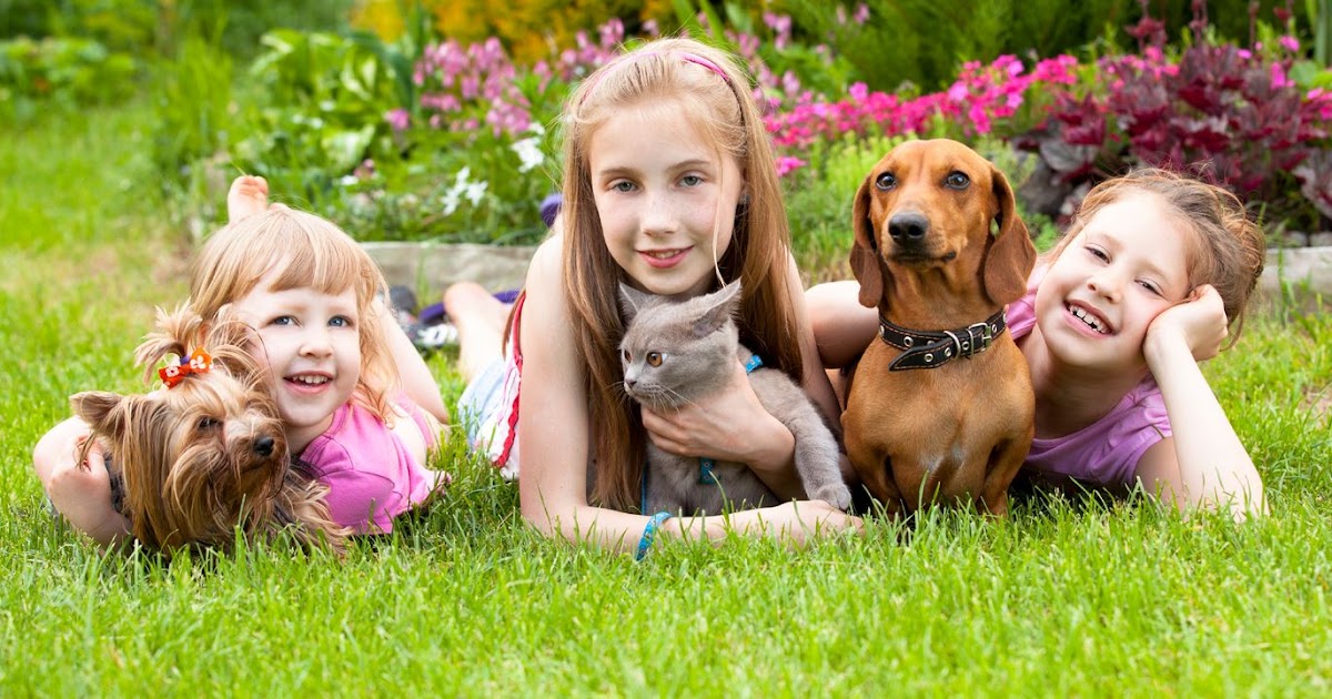 Kedi Psikolojisi / Köpek Psikolojisi HAYVANLARIN YAŞLI ve ÇOCUK