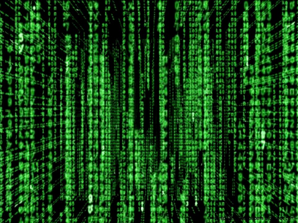 Wallpapers Moving Matrix Free Mania Screen Saver Software 1024x768