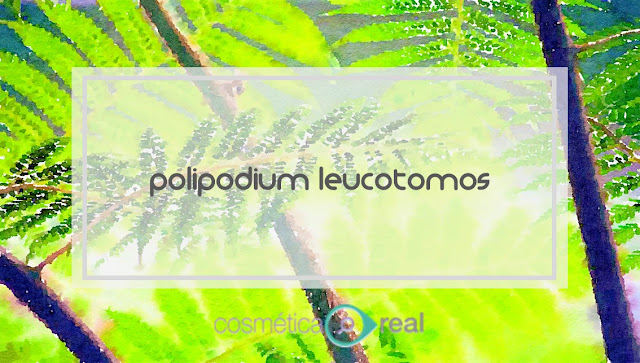 Polypodium leucotomos: antienvejecimiento y manchas faciales