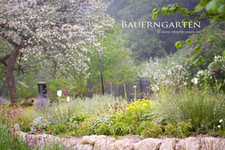 Gartenplanung - Gartenbilder und Gartenideen, Pflanzideen, Tips zur Planung und Anlage von Gärten, Ideen zur Gartenplanung. Gartendesign, Gartendesigner Renate Waas  #Garten #Gartenplanung