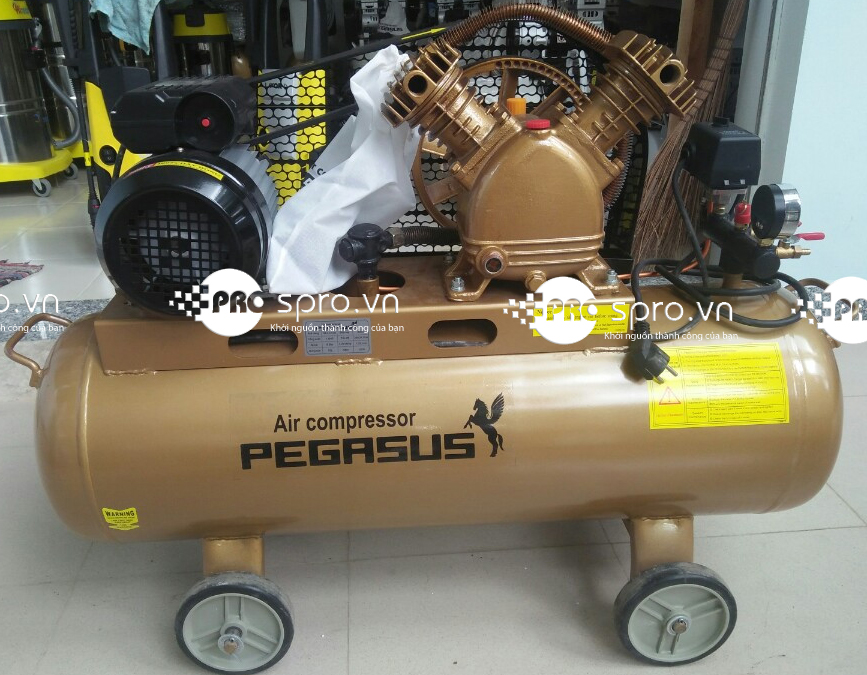 Máy nén khí piston PEGASUS TM-V-0.17/8-70L
