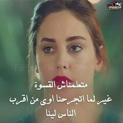 shof_9ae8ed55938eb68