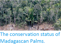 http://sciencythoughts.blogspot.co.uk/2014/10/the-conservation-status-of-madagascan.html