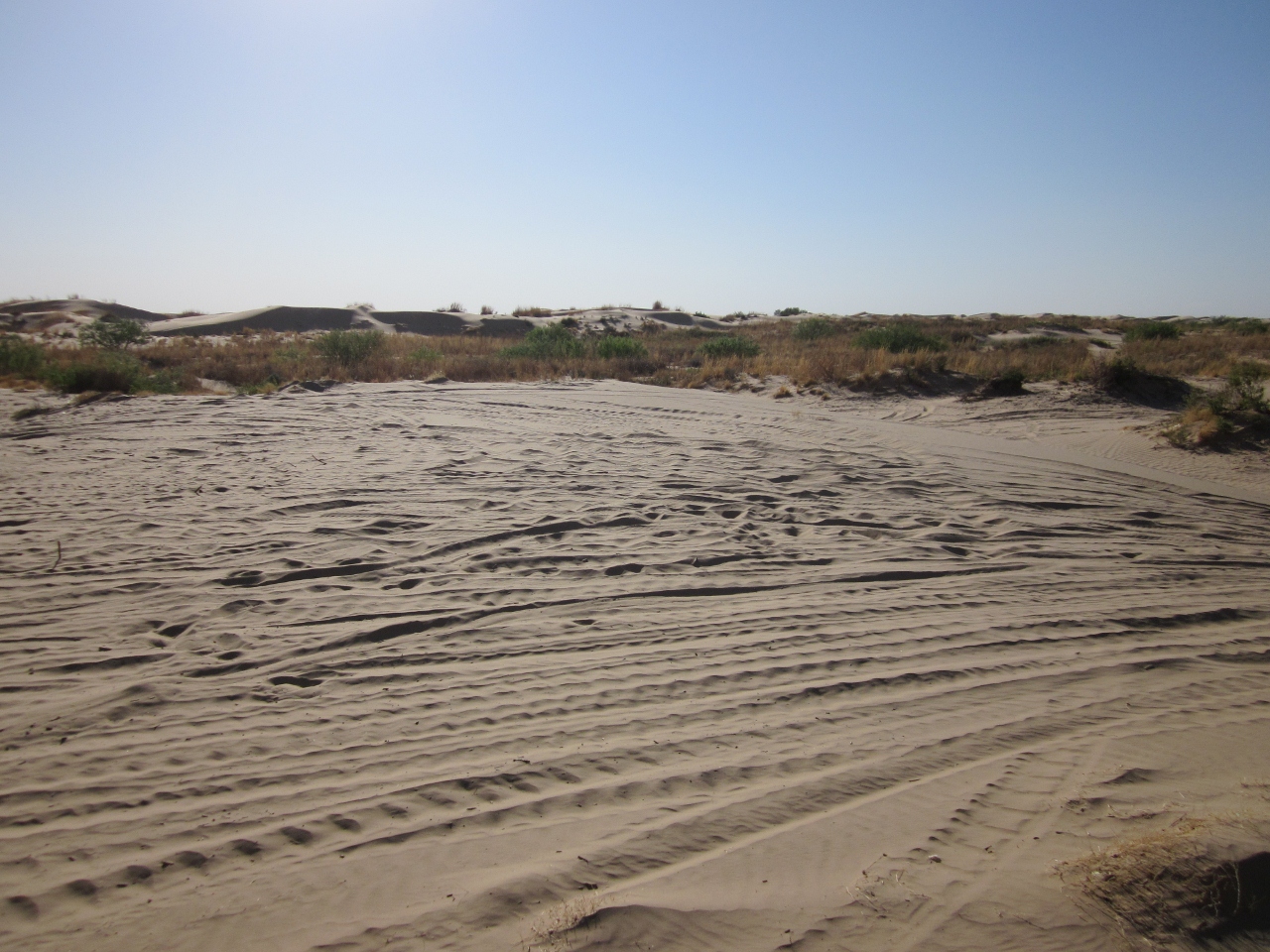 Here and There//Texas/New Mexico Kermit Dunes
