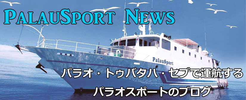 Palausport Blog