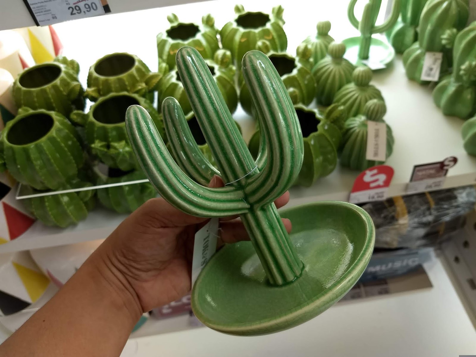 BLOOMING CACTUS JEWELRY HOLDER
