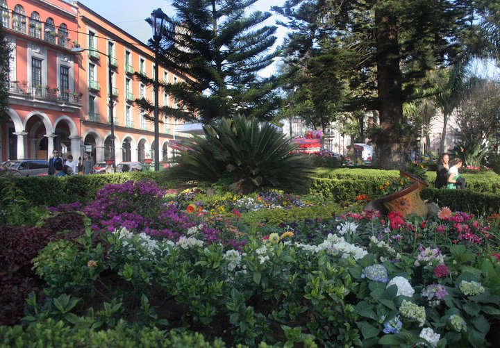 Tintero Ectivista Xalapa, la ciudad de las Flores Tintero Ectivista Xalapa, la ciudad de las Flores