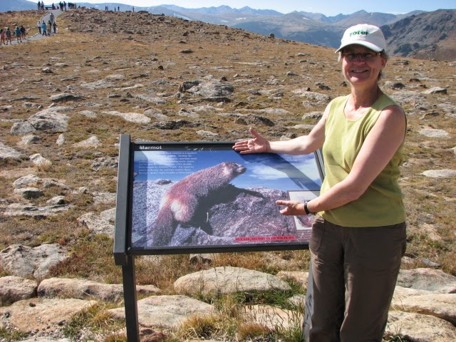 Jane gestures at poster of marmot on mountain trail