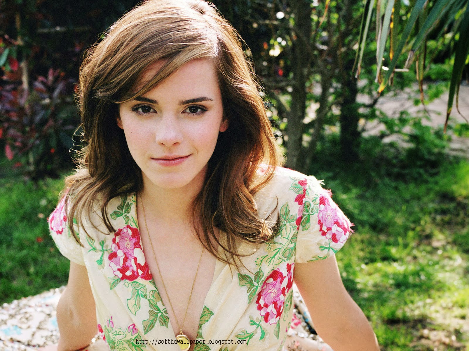 wild wallpaper Tricia O Kelley Latest HOT Wallpapers