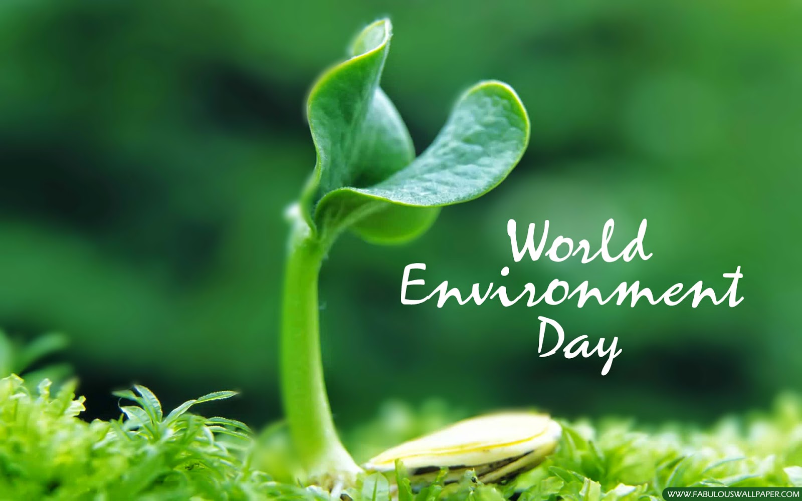 June 5th, World Environment Day