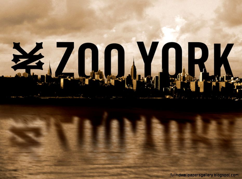 Zoo York baby   Zoo York  Pinterest