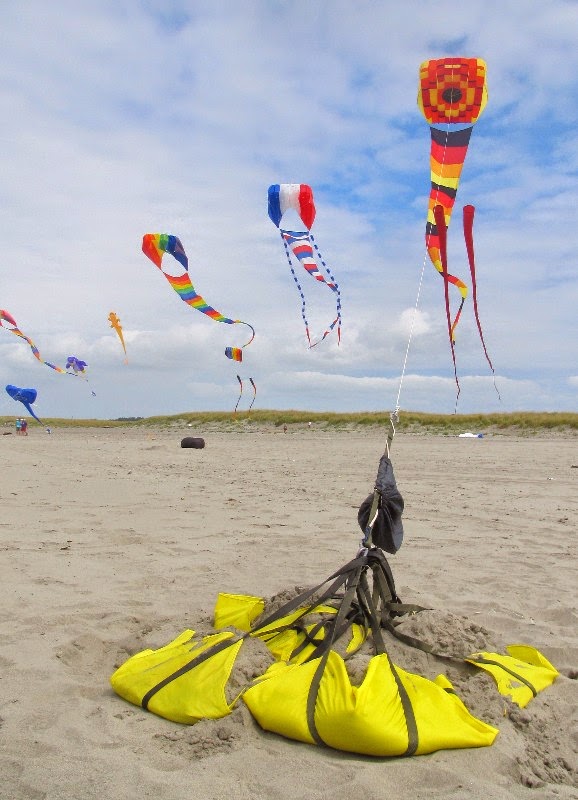 Life on the Open Road: Long Beach Kite Festival