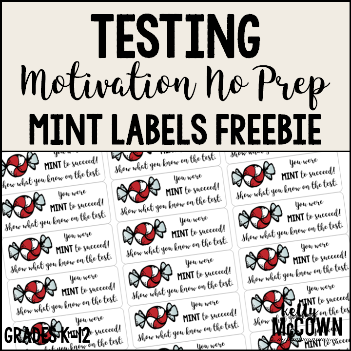 Kelly McCown Testing Motivation NO PREP Mint Labels FREEBIE