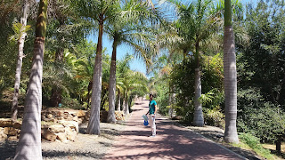 jardin botanico malaga