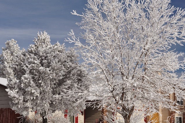 Colorado Springs winter scenes January 2015 coloradoviews.filminspector.com