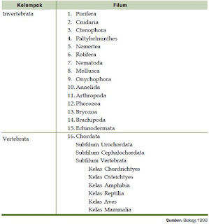 Klasifikasi, Ciri-Ciri dan Contoh Anggota Kingdom Animalia