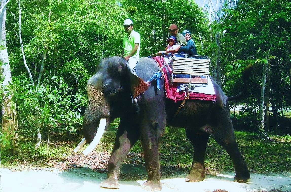 foto zaza Langkawi souvenir photo Elephant Ride