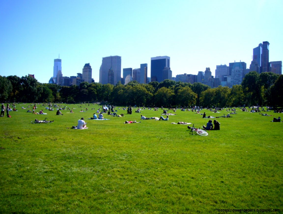 Research Shows that Urban Green Spaces Have Lasting Effect on