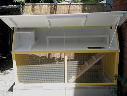 bug zapper in chicken coop 10