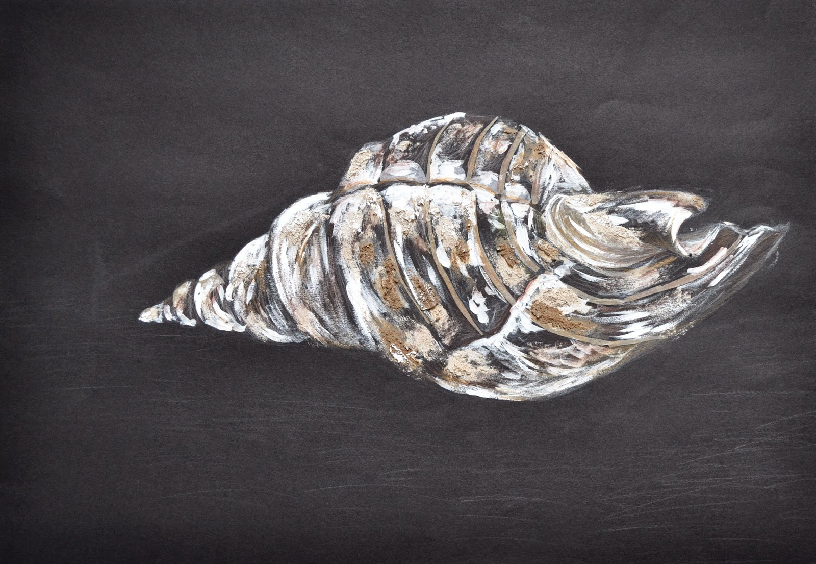 Art And Design Portfolio for Illustration Observational drawings and