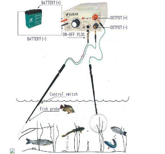 Electric Fish Shocker Circuit Diagram