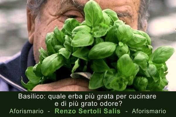 Aforismario Aforismi Frasi E Citazioni Sul Basilico