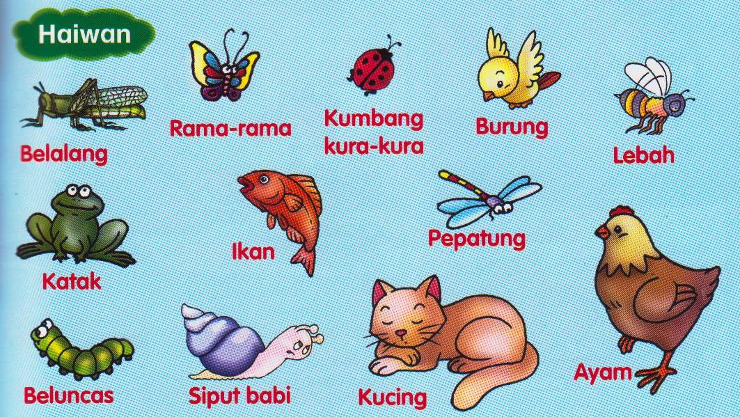 Dunia Sains & Teknologi Tahun 1: Unit 1 - Benda Hidup dan Benda Bukan Hidup