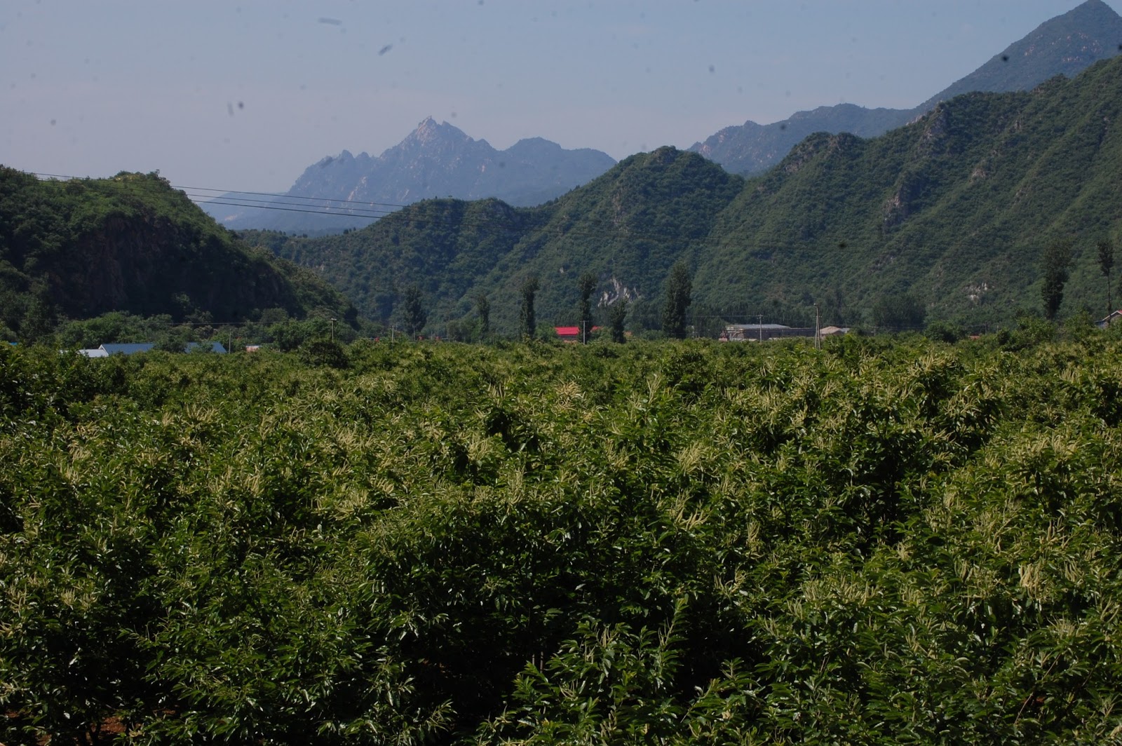 Combien Fait De Kilomètre La Muraille De Chine DECOUVERTE EN CHAINE: Derniers tours de roues en Chine via la Muraille