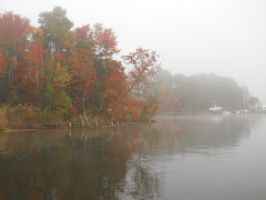 Fog is lifting on Mill Creek in Solomons.  Beautiful fall morning.